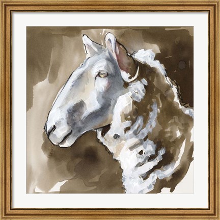 Framed Side Eye Sheep II Print
