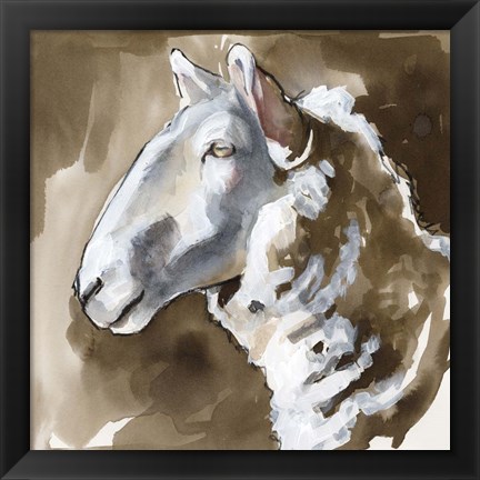 Framed Side Eye Sheep II Print