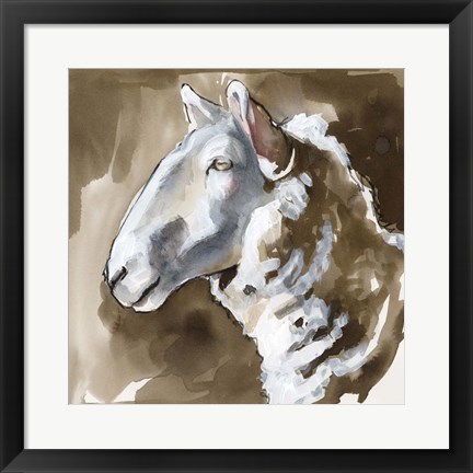 Framed Side Eye Sheep II Print