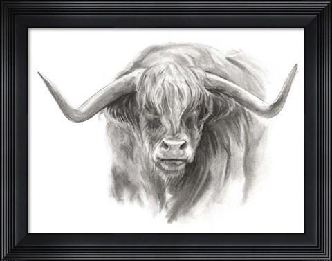Framed Soft Focus Highland Cattle II Print