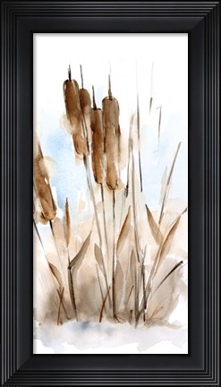 Framed Watercolor Cattail Study I Print