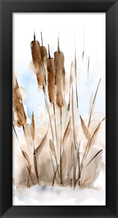 Framed Watercolor Cattail Study I Print