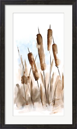Framed Watercolor Cattail Study II Print