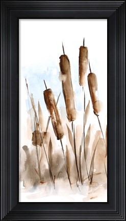 Framed Watercolor Cattail Study II Print