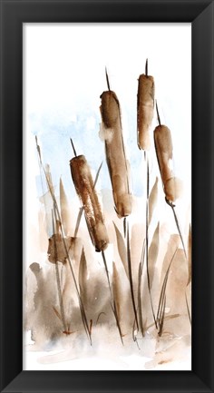 Framed Watercolor Cattail Study II Print