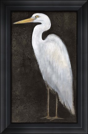 Framed White Heron Portrait II Print