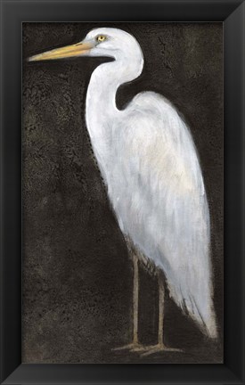 Framed White Heron Portrait II Print