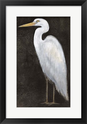 Framed White Heron Portrait II Print