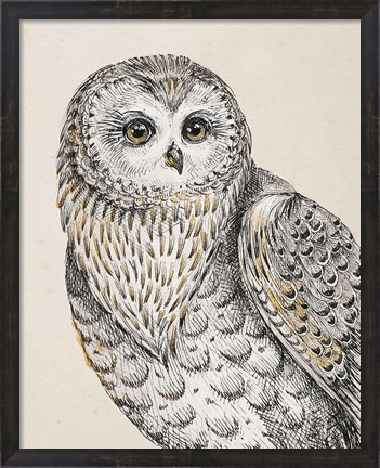 Framed Beautiful Owls IV Vintage Print