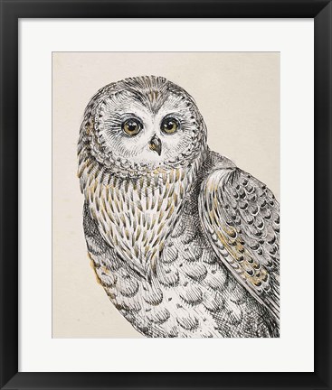 Framed Beautiful Owls IV Vintage Print