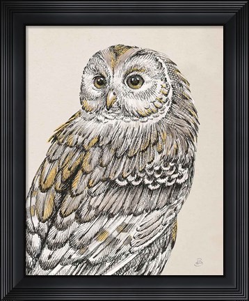 Framed Beautiful Owls III Vintage Print