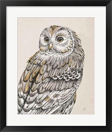 Framed Beautiful Owls III Vintage Print