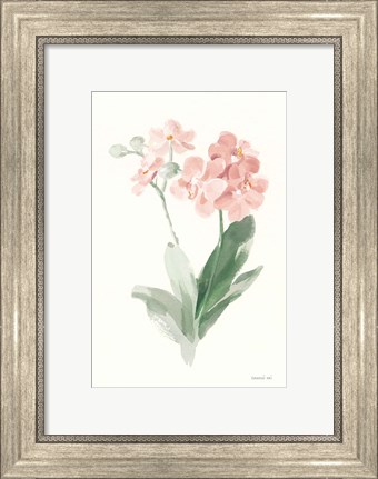Framed Spring Orchid II Print