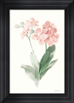 Framed Spring Orchid II Print