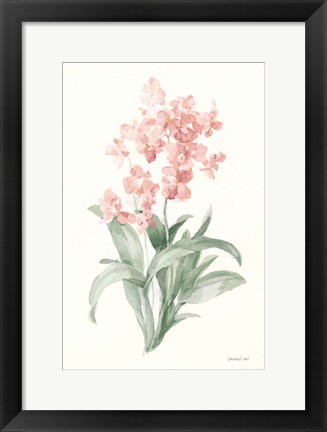 Framed Spring Orchid I Print