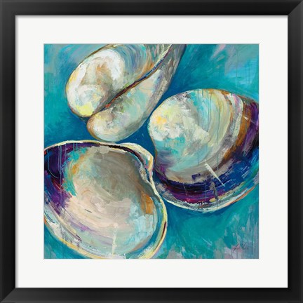 Framed Shell Trio Print