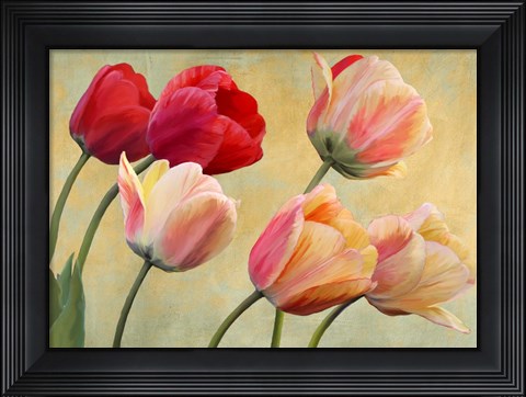 Framed Golden Tulips (detail) Print