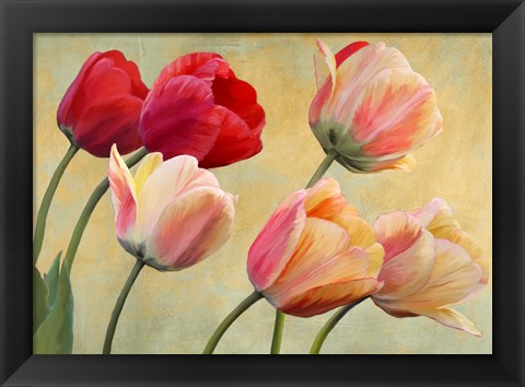 Framed Golden Tulips (detail) Print