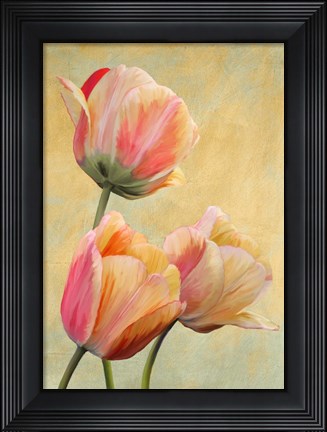 Framed Golden Tulips I Print