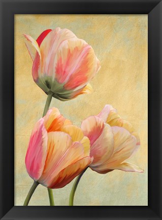 Framed Golden Tulips I Print