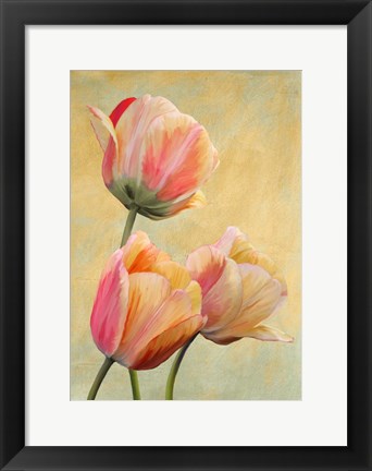 Framed Golden Tulips I Print