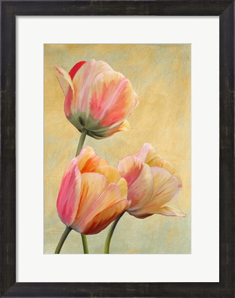 Framed Golden Tulips I Print
