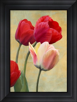 Framed Ruby Tulips Print