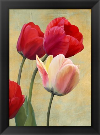 Framed Ruby Tulips Print