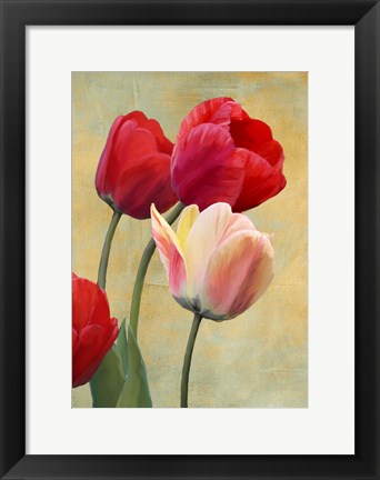 Framed Ruby Tulips Print