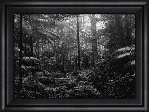 Framed In the Jungle Print
