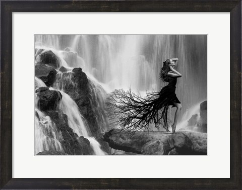 Framed Nature&#39;s Beauty Print