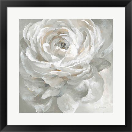 Framed White Rose Print