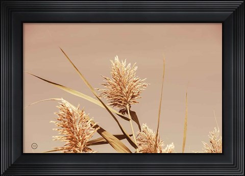 Framed Noon Grasses III Print