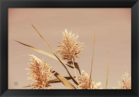 Framed Noon Grasses III Print