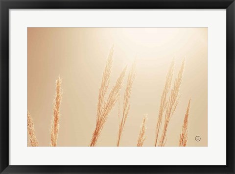 Framed Noon Grasses II Print