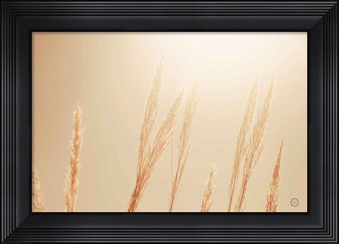 Framed Noon Grasses II Print