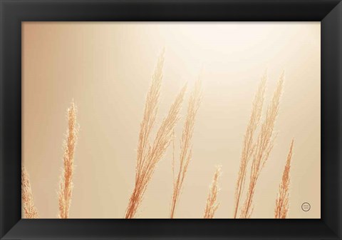 Framed Noon Grasses II Print