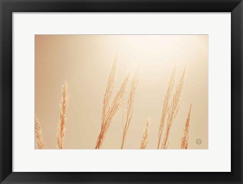 Framed Noon Grasses II Print