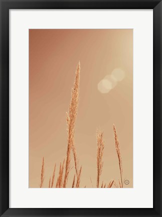 Framed Noon Grasses I Print