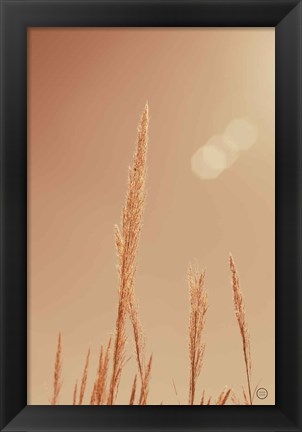 Framed Noon Grasses I Print