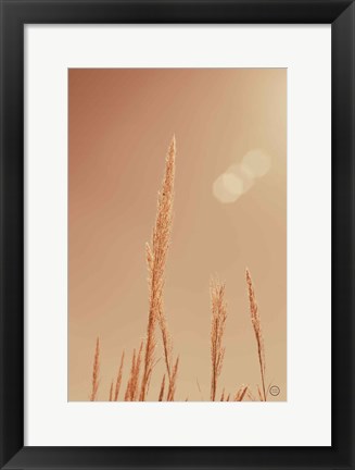 Framed Noon Grasses I Print