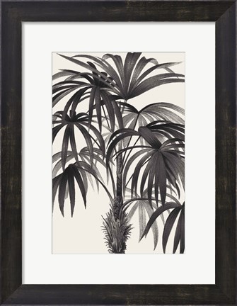 Framed Riviera Palms II BW Print
