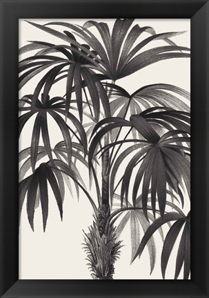 Framed Riviera Palms II BW Print