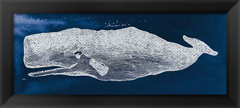 Framed Whale on Blue Print