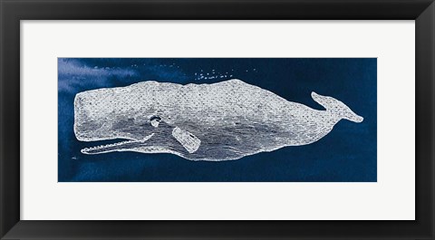 Framed Whale on Blue Print