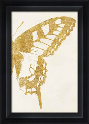 Framed Butterfly Wings II Print