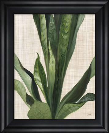 Framed Tropical Study III Linen Print