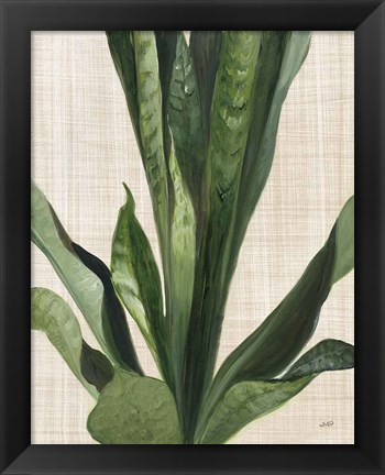 Framed Tropical Study III Linen Print