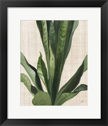 Framed Tropical Study III Linen Print