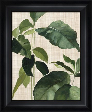 Framed Tropical Study II Linen Print
